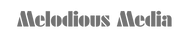 VoxMedia (3)